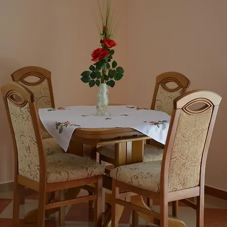 Anna بودغوريتْسا
